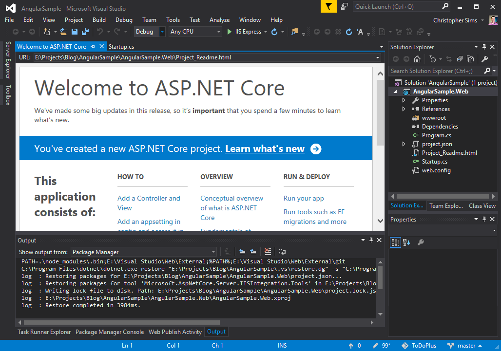 Visual Studio Empty .NET Core Project