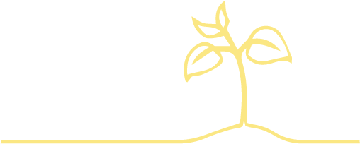 Line Drawing Seedling Yellow